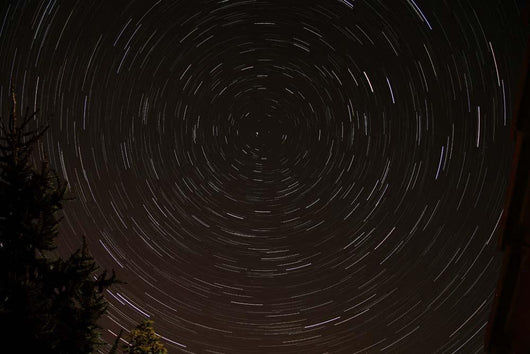 Star Trails around Polaris Wall Decal