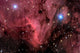 Pelican Nebula Wall Decal Design 1