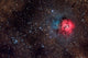 Trifid Nebula Wall Decal