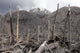 Chile Forest Destroyed Pyroclastic Wall Decal