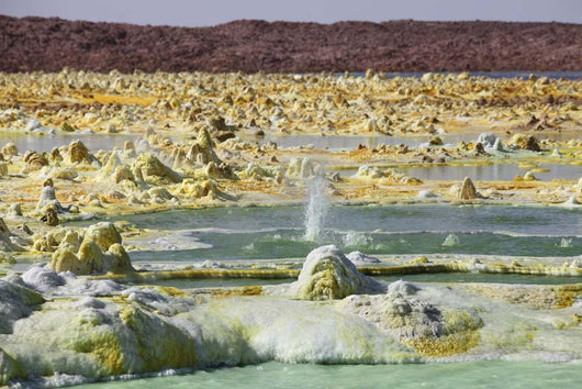 Small Geyser amongst Potassium Wall Decal