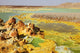 Potassium Salt Deposits Dallol Wall Decal Design 16