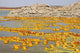 Potassium Salt Deposits Dallol Wall Decal Design 14