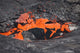 Lava Breaking through Crust Wall Decal