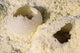 Fumarole Deposits Dallol Geothermal Wall Decal Design 2