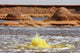 Hot Spring Yellow Brine Wall Decal