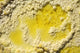 Close-up Yellow Salt Crystals Wall Decal Design 4