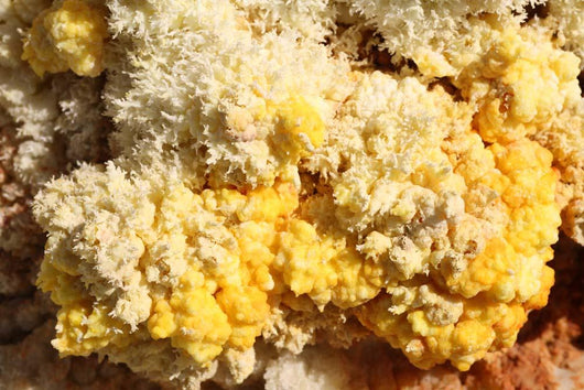Close-up Yellow Salt Crystals Wall Decal Design 3
