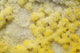 Close-up Yellow Salt Crystals Wall Decal Design 2