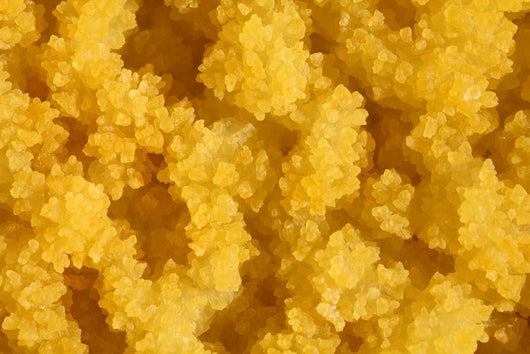 Close-up Yellow Salt Crystals Wall Decal Design 1