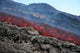 Lava Flow during Eruption Wall Decal Design 3