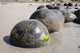 Moeraki Boulders Koekohe Beach Wall Decal Design 20