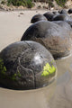Moeraki Boulders Koekohe Beach Wall Decal Design 19