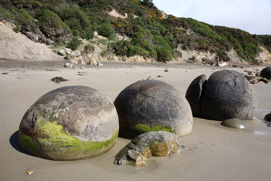 Moeraki Boulders Koekohe Beach Wall Decal Design 15