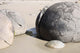 Moeraki Boulders Koekohe Beach Wall Decal Design 11
