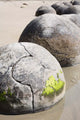 Moeraki Boulders Koekohe Beach Wall Decal Design 8
