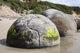Moeraki Boulders Koekohe Beach Wall Decal Design 7
