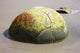 Moeraki Boulder Koekohe Beach Wall Decal Design 2