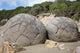 Moeraki Boulders Koekohe Beach Wall Decal Design 5