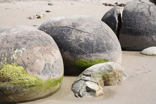 Moeraki Boulders Koekohe Beach Wall Decal Design 4