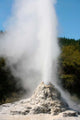 Lady Knox Geyser Wai-o-tapu Wall Decal Design 3