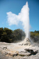 Lady Knox Geyser Wai-o-tapu Wall Decal Design 2