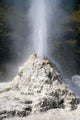 Lady Knox Geyser Wai-o-tapu Wall Decal Design 1