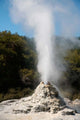 Lady Knox Geyser Erupting Wall Decal