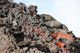 Lava Flow Flank Pacaya Wall Decal Design 1