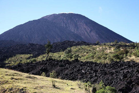 Pacaya Volcano Guatemala Wall Decal