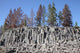 Basalt Columns Formed Cooling Wall Decal Design 1