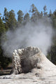 Giant Geyser Steaming Geyserite Wall Decal