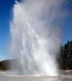Daisy Geyser Erupting Upper Wall Decal