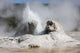 Grotto Geyser Eruption Upper Wall Decal
