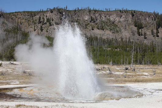 Jewel Geyser Upper Geyser Wall Decal