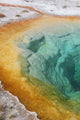 Morning Glory Pool Hot Wall Decal Design 1