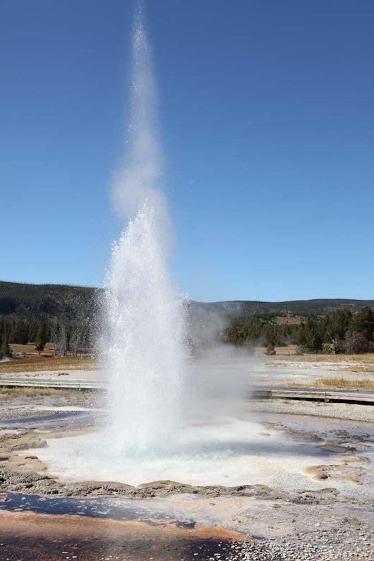Sawmill Geyser Upper Geyser Wall Decal