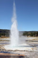 Sawmill Geyser Upper Geyser Wall Decal