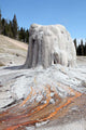 Lone Star Geyser Geyserite Wall Decal Design 2
