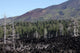 Volcanic Landscape Mount Etna Wall Decal