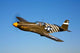 P-51a Mustang Flight Wall Decal Design 3
