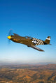 P-51a Mustang Flight Wall Decal Design 2