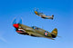 P-40e Warhawk and P-51d Wall Decal