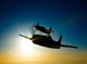 Silhouette Two Grumman F8f Wall Decal