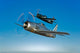Two Grumman F8f Bearcats Wall Decal Design 2