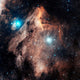 Pelican Nebula Wall Decal