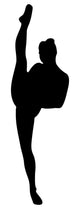 Black Ballet Dancer Silhouette Wall Decal