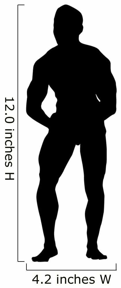 Chest Flex Body Builder Wall Decal