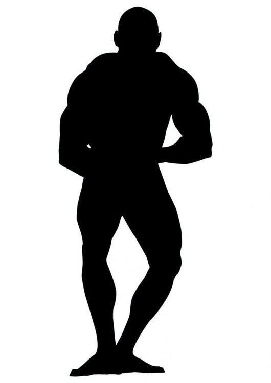 Muscular Bearlike Body Builder Wall Decal