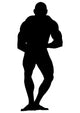 Muscular Bearlike Body Builder Wall Decal
